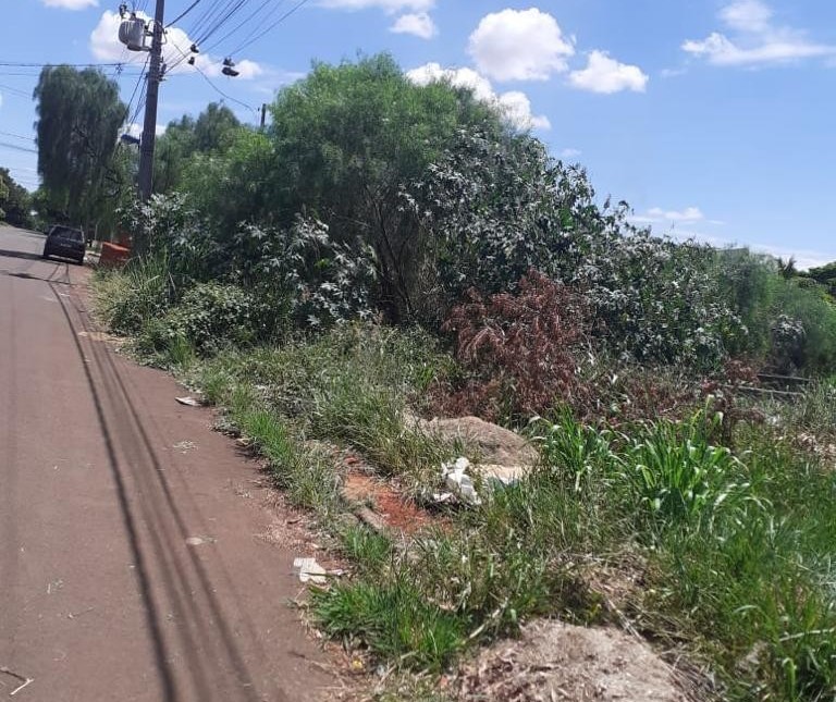 Ouvintes reclamam de mato alto em calçadas de bairros de Maringá