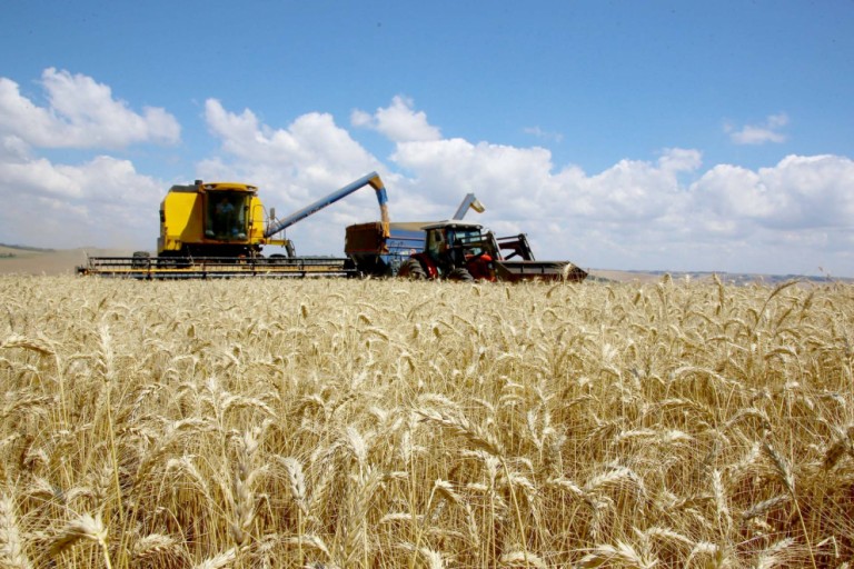 Agricultura de precisão: a importância da tecnologia no meio rural