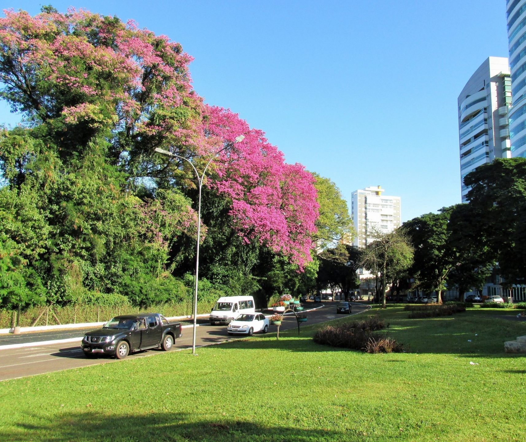 Em Maringá, semana será de tempo estável e temperaturas baixas ao amanhecer, indica Simepar