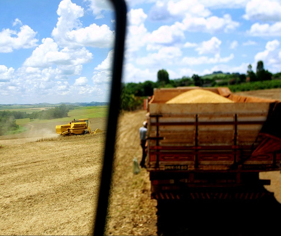 Soja custa R$ 82 em Maringá