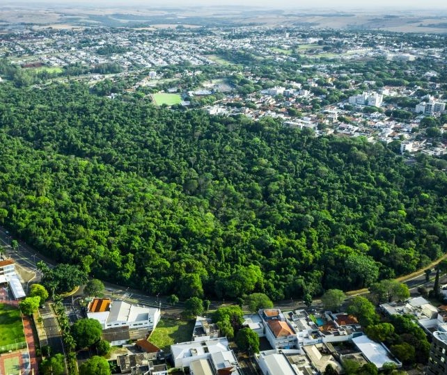 Prazo para solicitação do IPTU Verde segue até dia 30