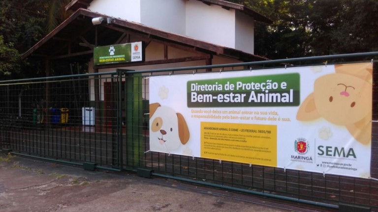 Mais 3 mil castrações de cães e gatos são contratadas