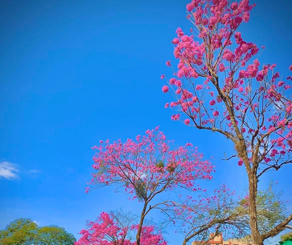 Maringá segue com tempo estável e altas temperaturas nesta sexta-feira (22)