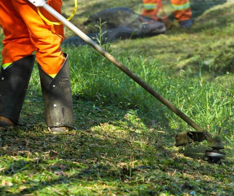 OSM pede impugnação da licitação de roçadas