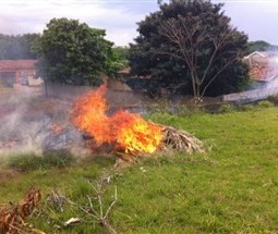 Incêndio em vegetação aumentou 46% em 2018 em Maringá