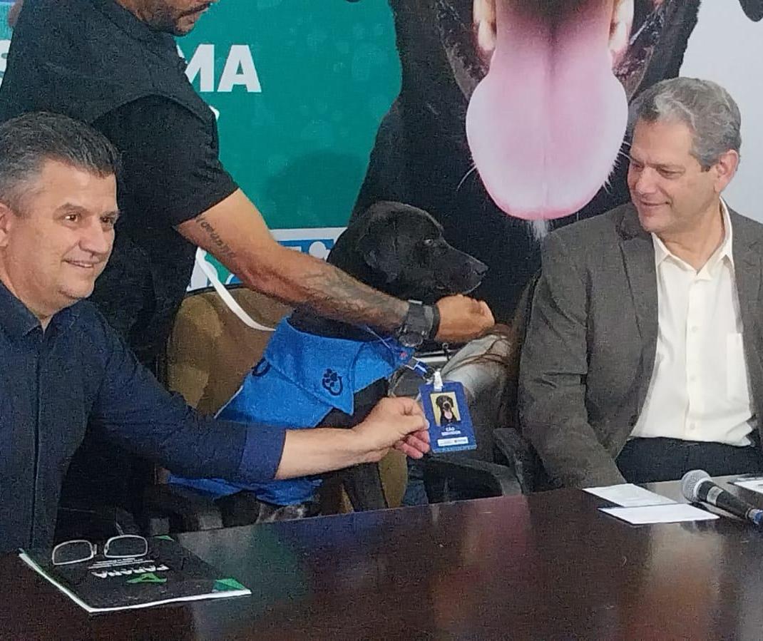 Cão servidor: prefeitura apresenta novo contratado; projeto terá parceria com Deppen