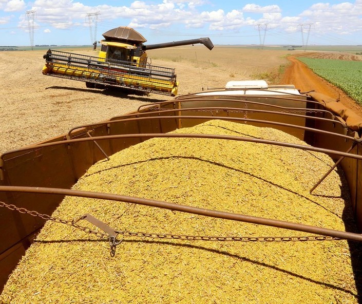 Brasil tem elevação na produção de soja, aponta Conab