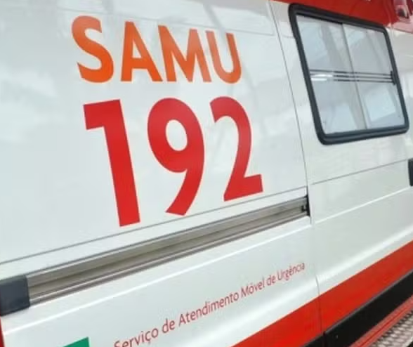 Bebê é atacado por pitbull e fica gravemente ferido