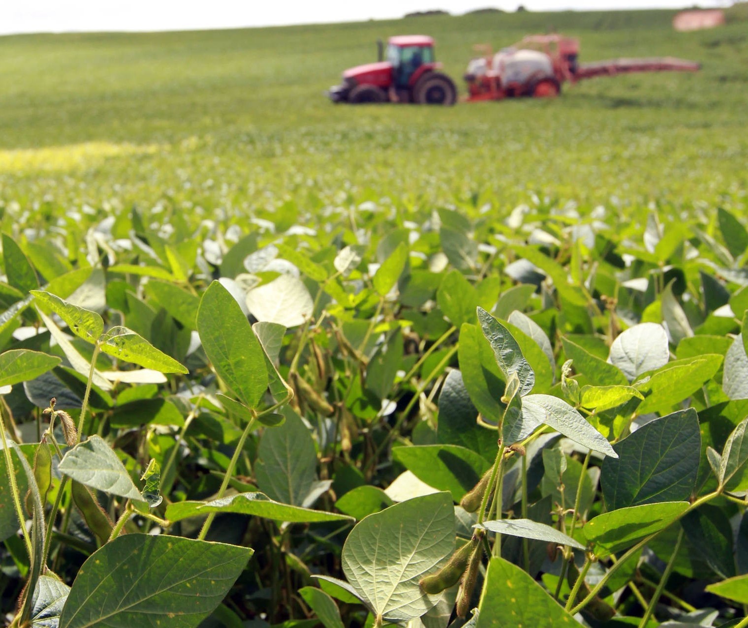 Clima para os próximos meses do agro