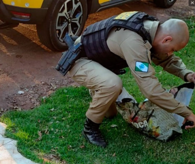 Recém-nascido é encontrado abandonado em Campo Mourão