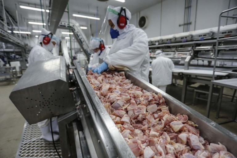 China e Japão compraram 1/4 da carne de frango negociada no mundo em 2020