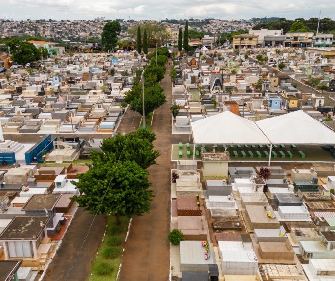 Projeto permite que pets sejam sepultados em cemitério municipal