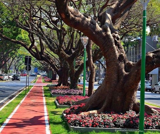 Quinta-feira será de tempo instável em Maringá