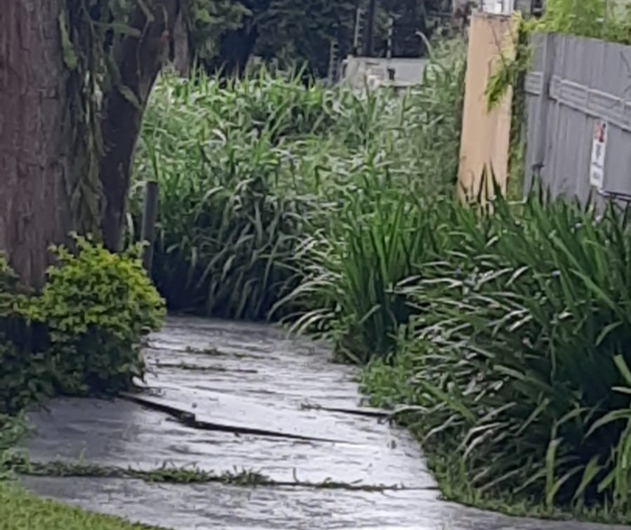 Morador reclama de mato alto em terreno da Zona 4, em Maringá