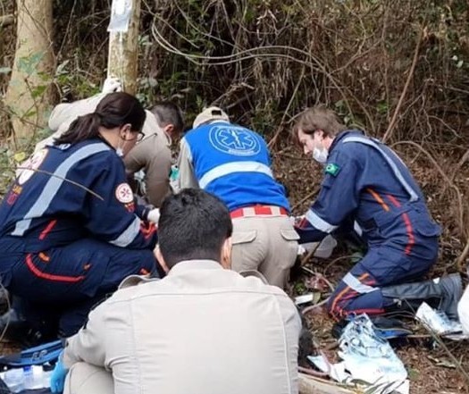 Trabalhador morre após ser atingido por galho de árvore