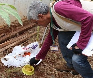 Maringá faz mutirão de limpeza contra a dengue