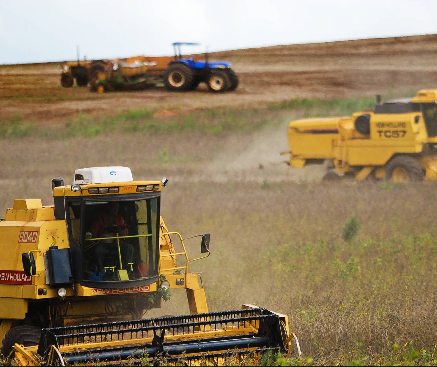 Paraná já colheu 98% da área de soja