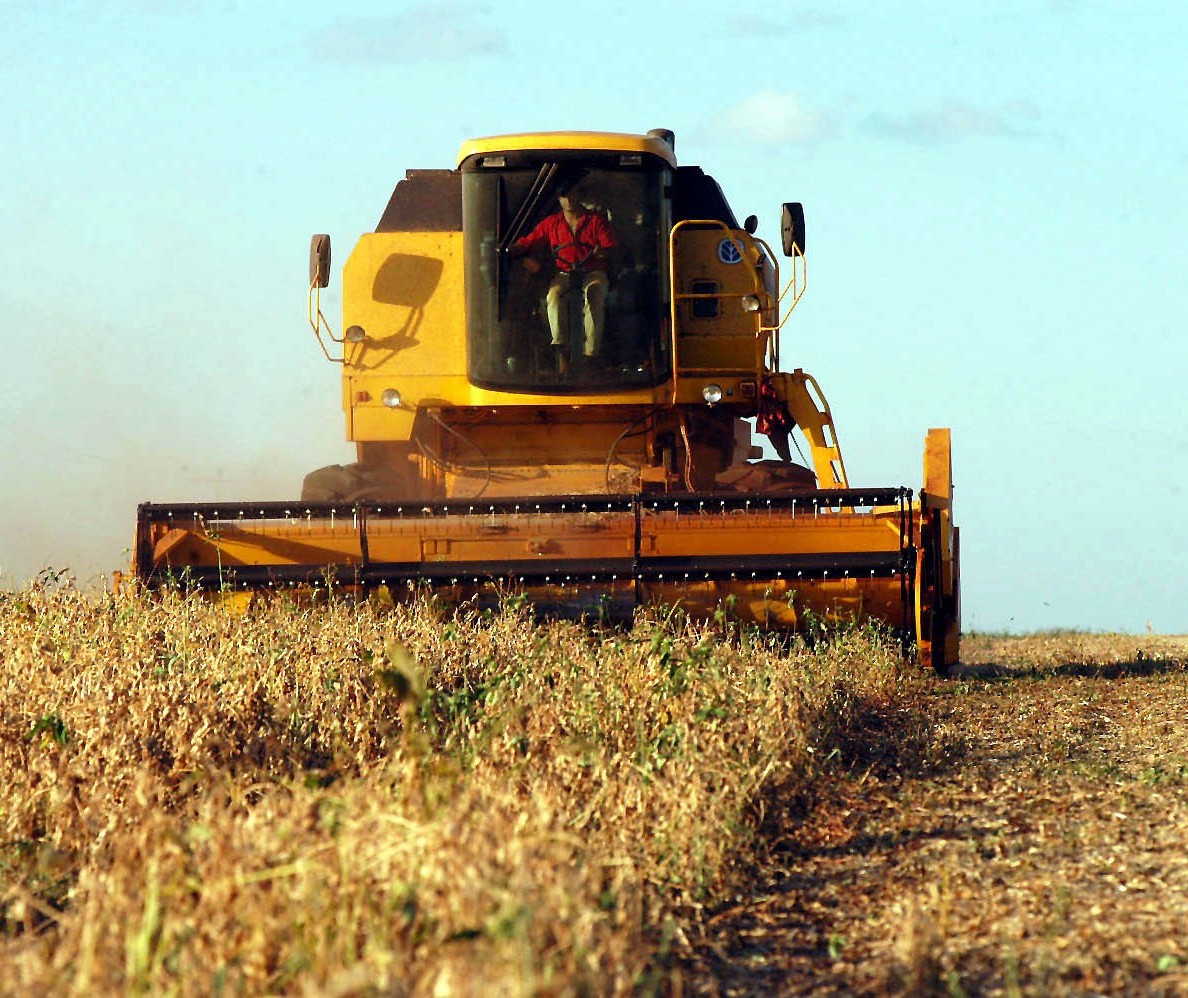 Soja atinge 52% de comercialização no Brasil 