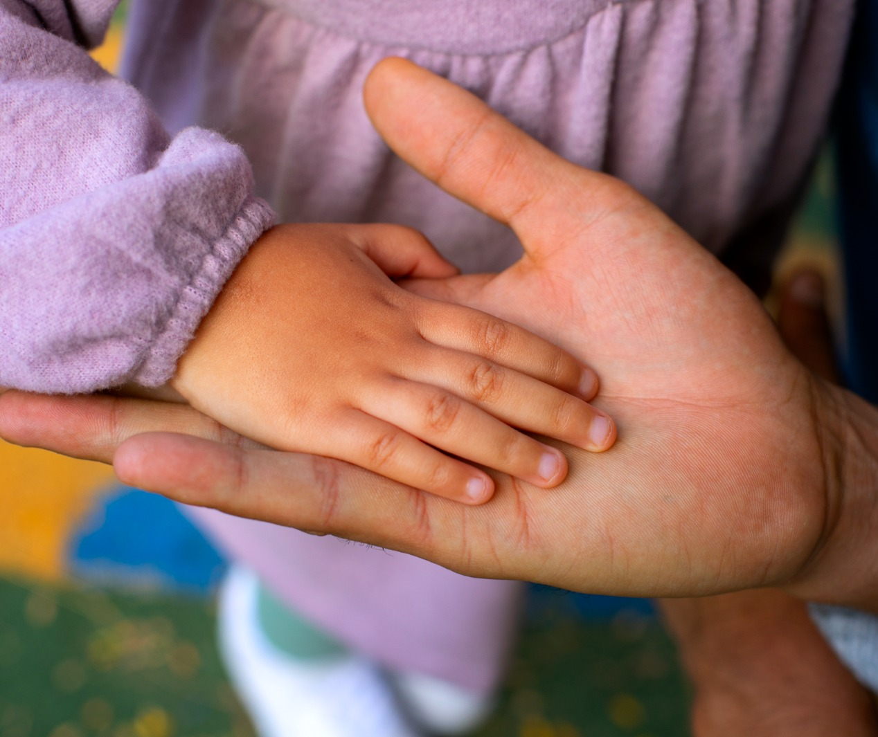 Maringá está com seleção aberta para famílias acolhedoras