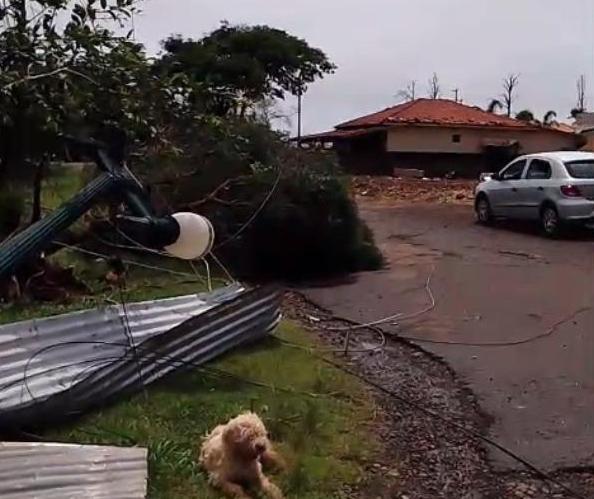 Temporal arrancou postes em Piquirivaí distrito de Campo Mourão