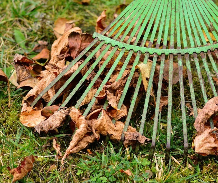 Moradores se mobilizam para limpar terreno e transformá-lo em parque