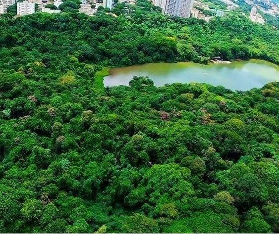 Prefeitura irá lançar edital para concessão de serviços no Parque Ingá