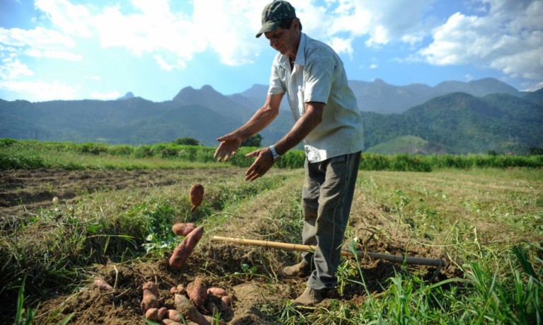 Aposentadoria rural tem regras específicas para quem trabalha no campo