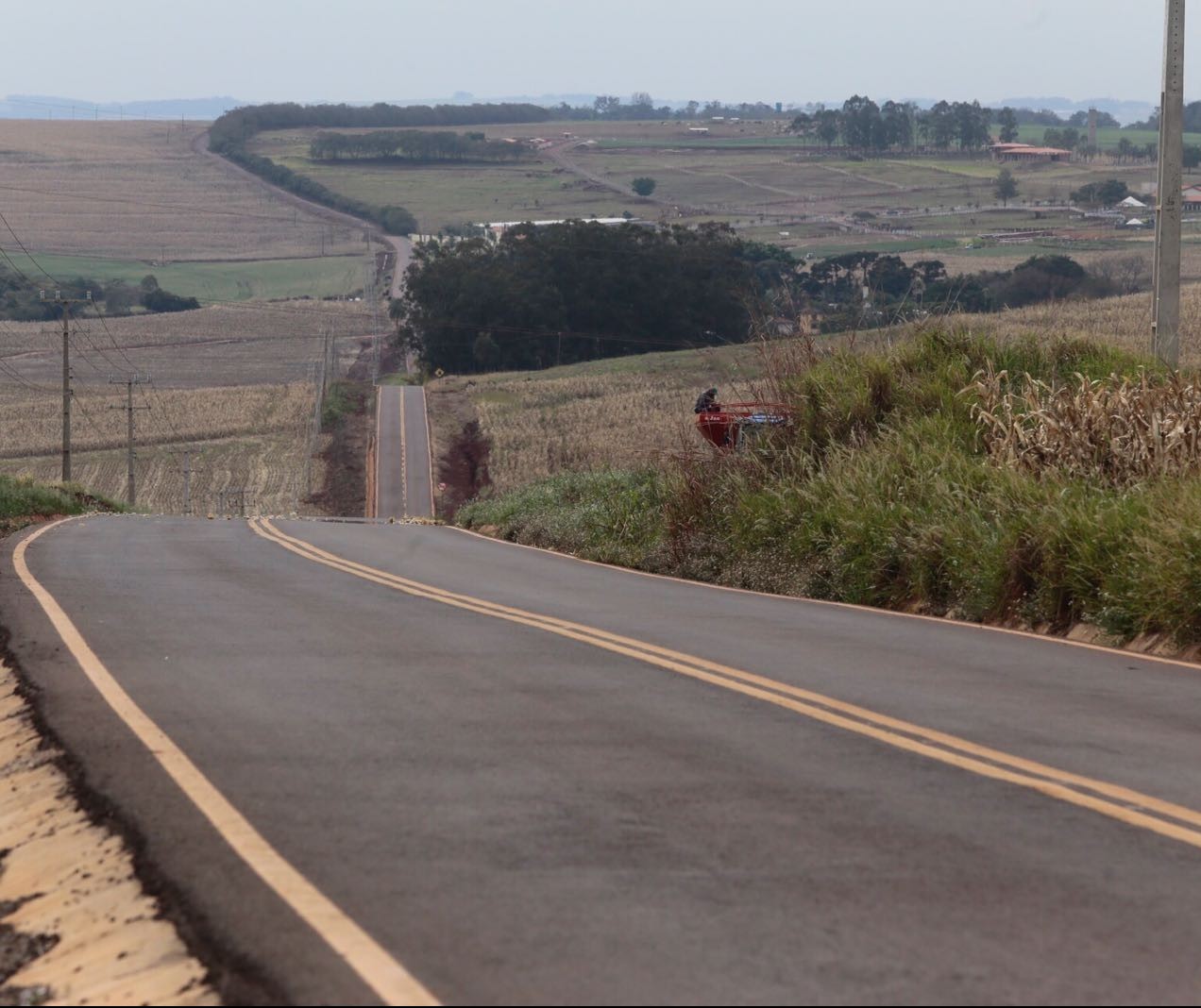 Paisagismo em antiga estrada de Maringá estimula o turismo rural