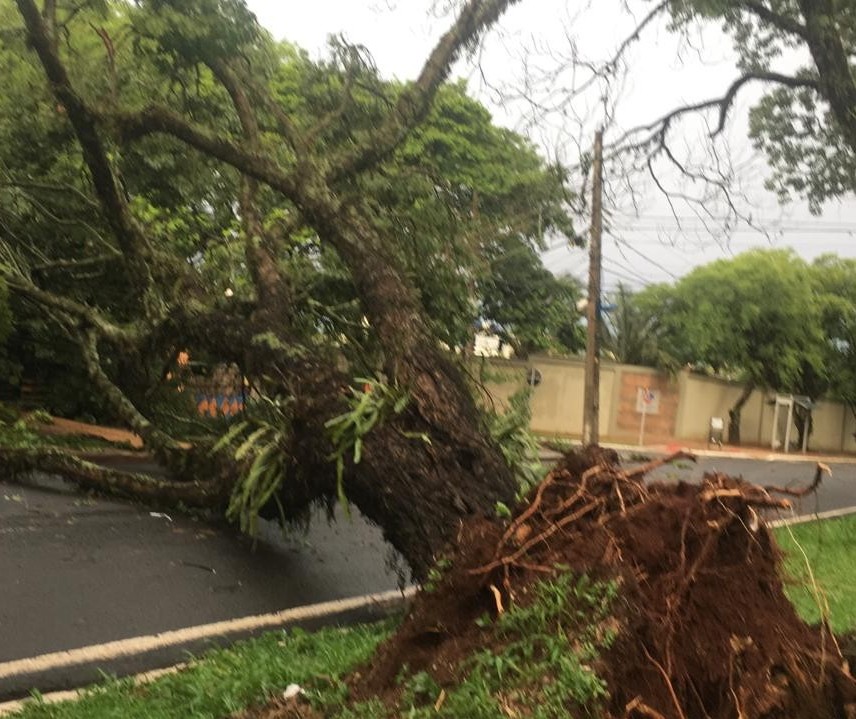 Uma pessoa morreu e duas ficaram feridas durante temporal no Paraná