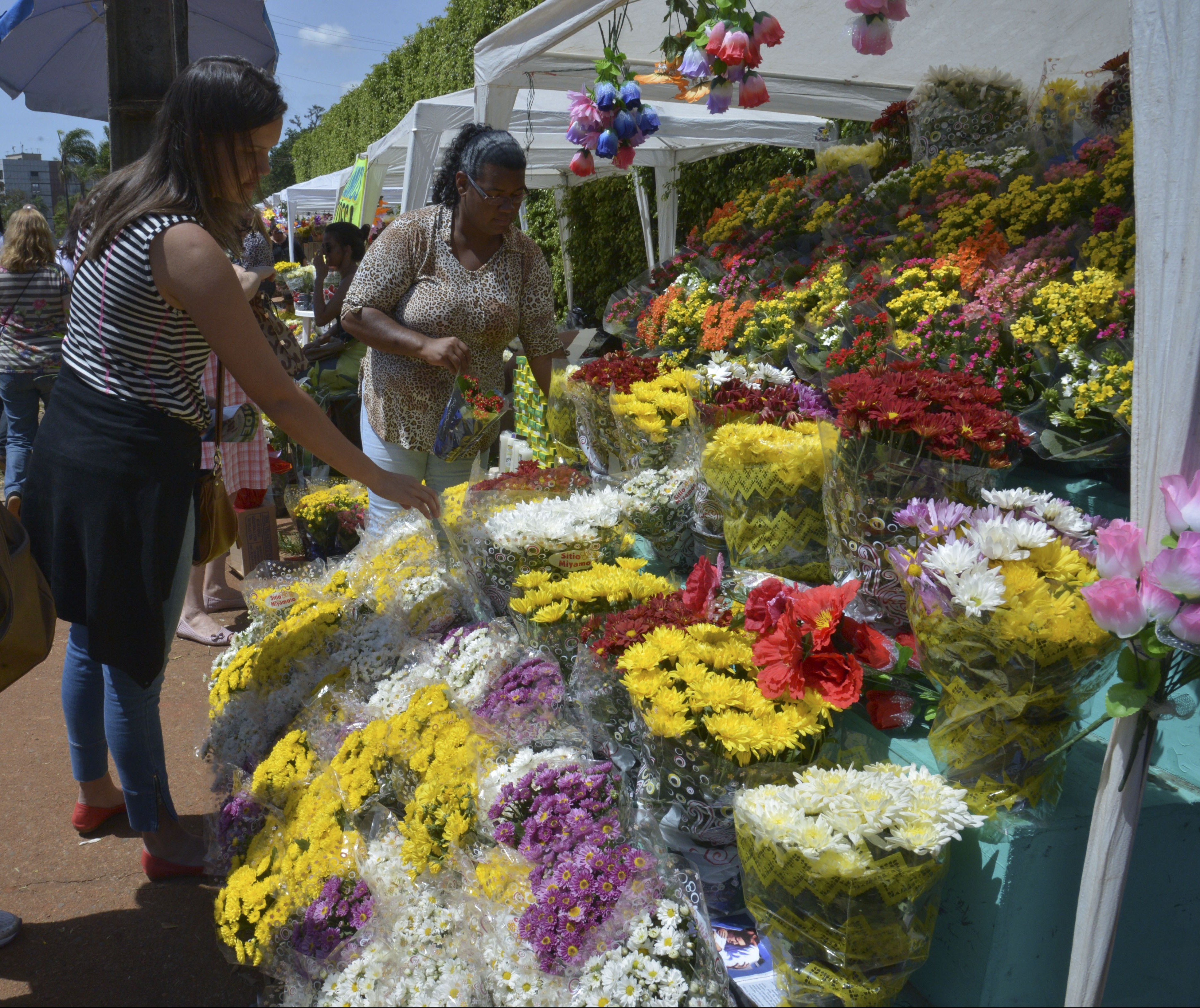 Primeiro Dia de Finados do período pós pandemia deve apresentar aumento nas vendas de flores 