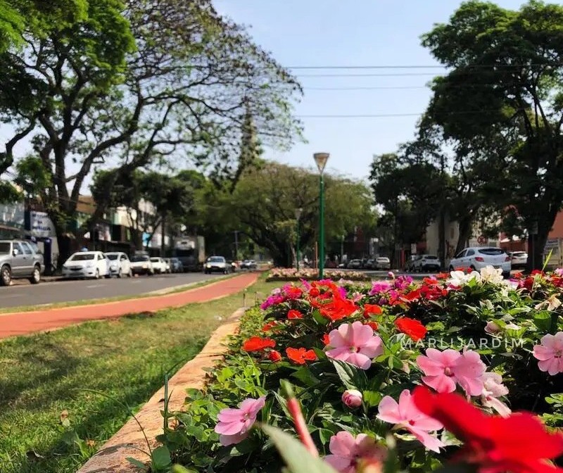 Confira como fica o tempo em Maringá neste domingo (3)