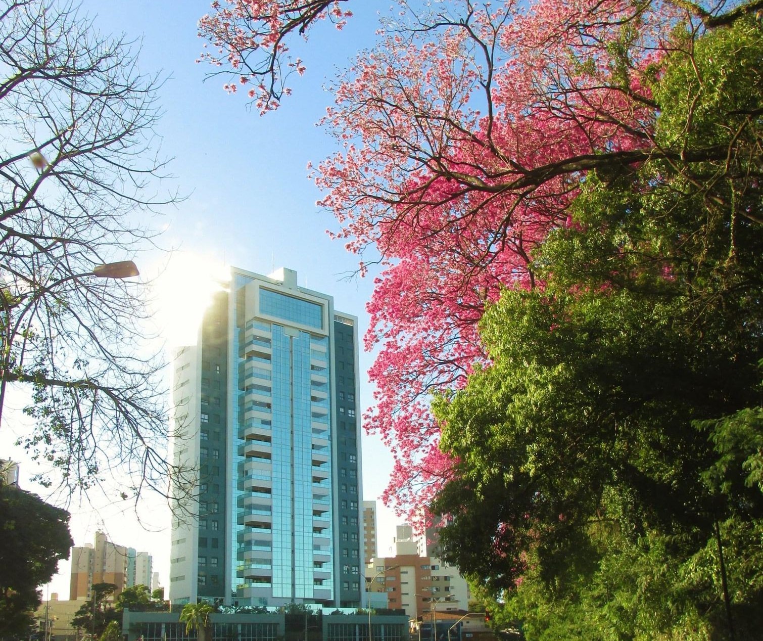 Tempo segue estável neste sábado (9) e Maringá tem máxima de 27°C