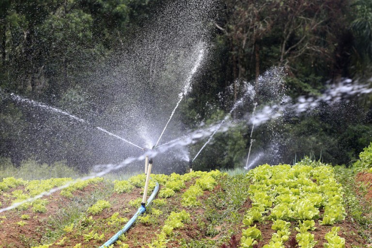 Falta de chuvas já preocupa produtores rurais em todo o Paraná