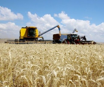 Coronavírus não deve prejudicar fortemente o desempenho do PIB do agronegócio