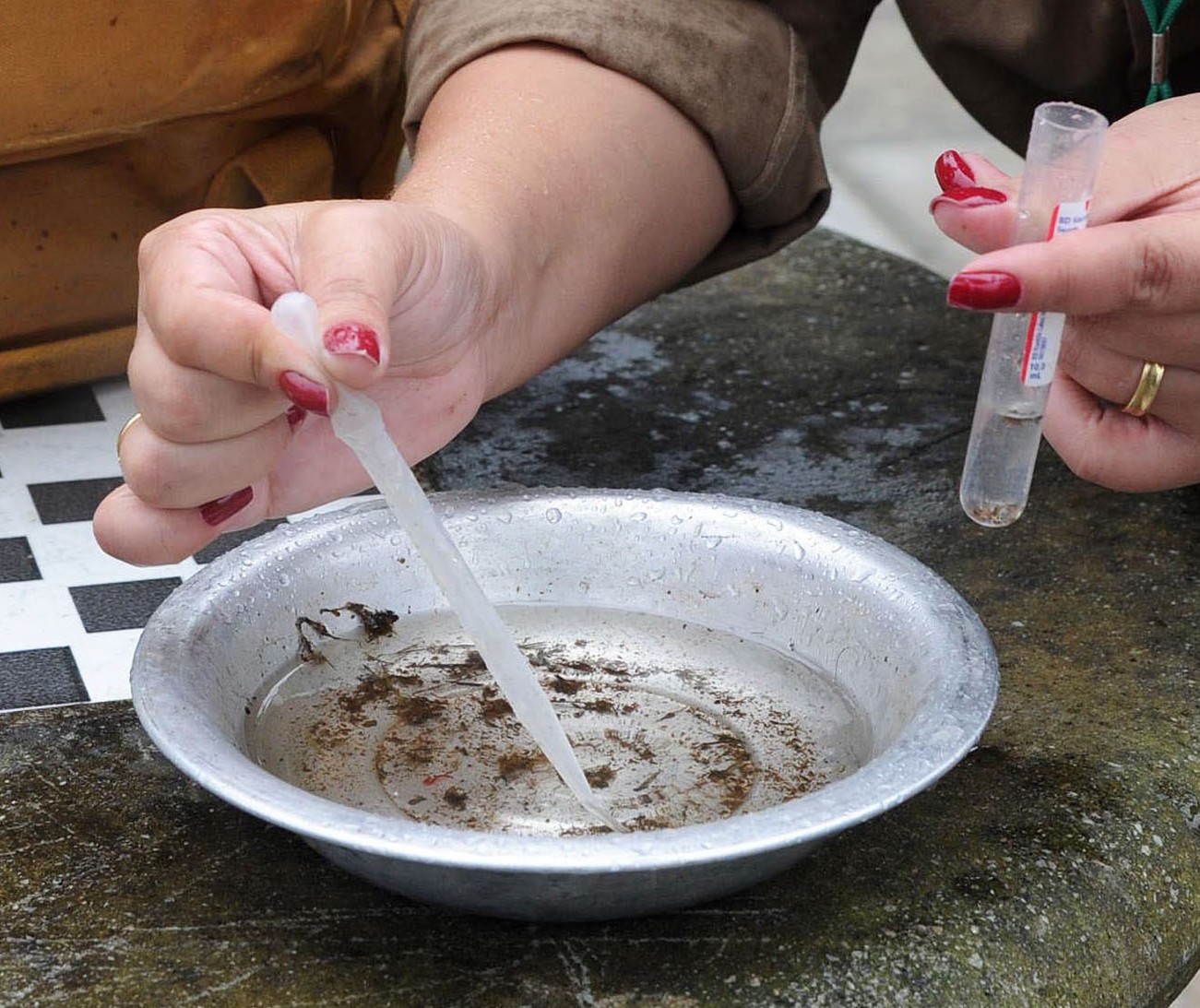 Prefeitura de Londrina decreta estado de emergência epidemiológica para combate à dengue