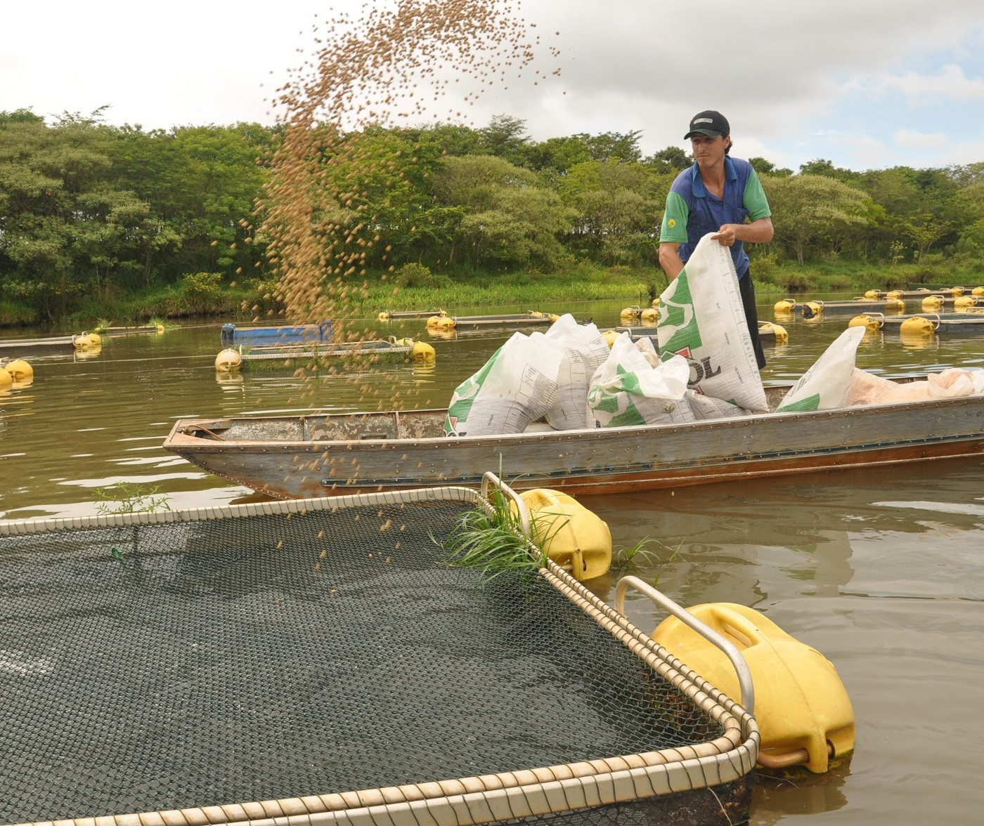 Comissão técnica vai definir diretrizes para a aquicultura no Paraná