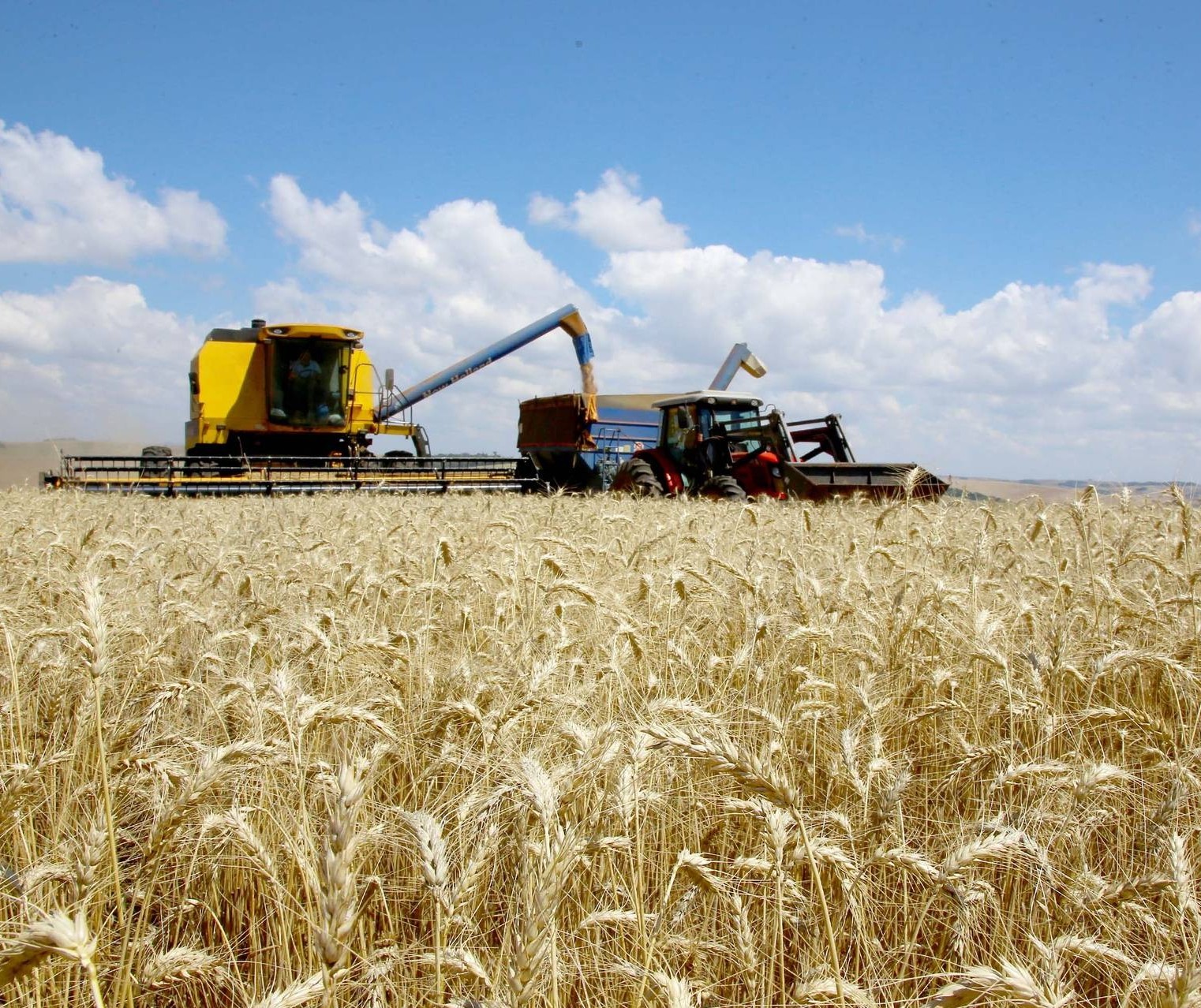 Empresas do agronegócio terão mais tempo para aderir ao CPR