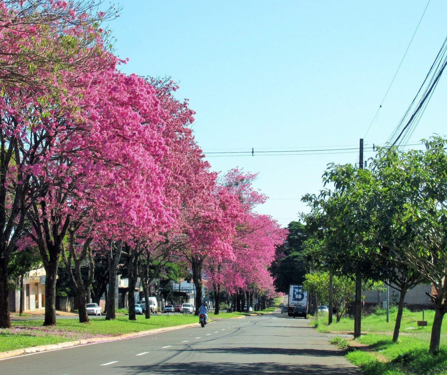 Quinta-feira ensolarada e com máxima de 30°C em Maringá