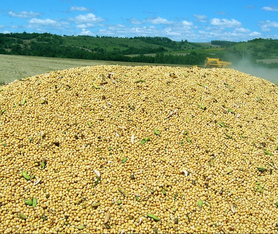 Saca da soja custa R$ 69,50 em Campo Mourão e Londrina