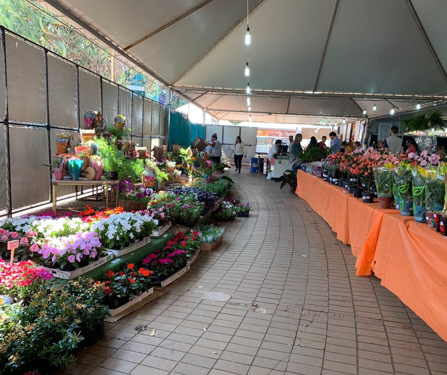 Feira de flores de Maringá começa nessa quinta (29)