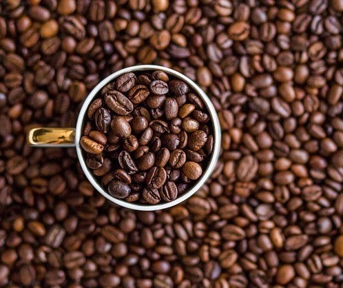 Café em coco custa R$ 6,35 Kg na região de Jacarezinho