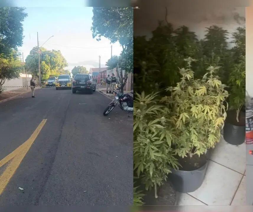Homem morre em confronto com a PM ao ser pego com plantação de maconha