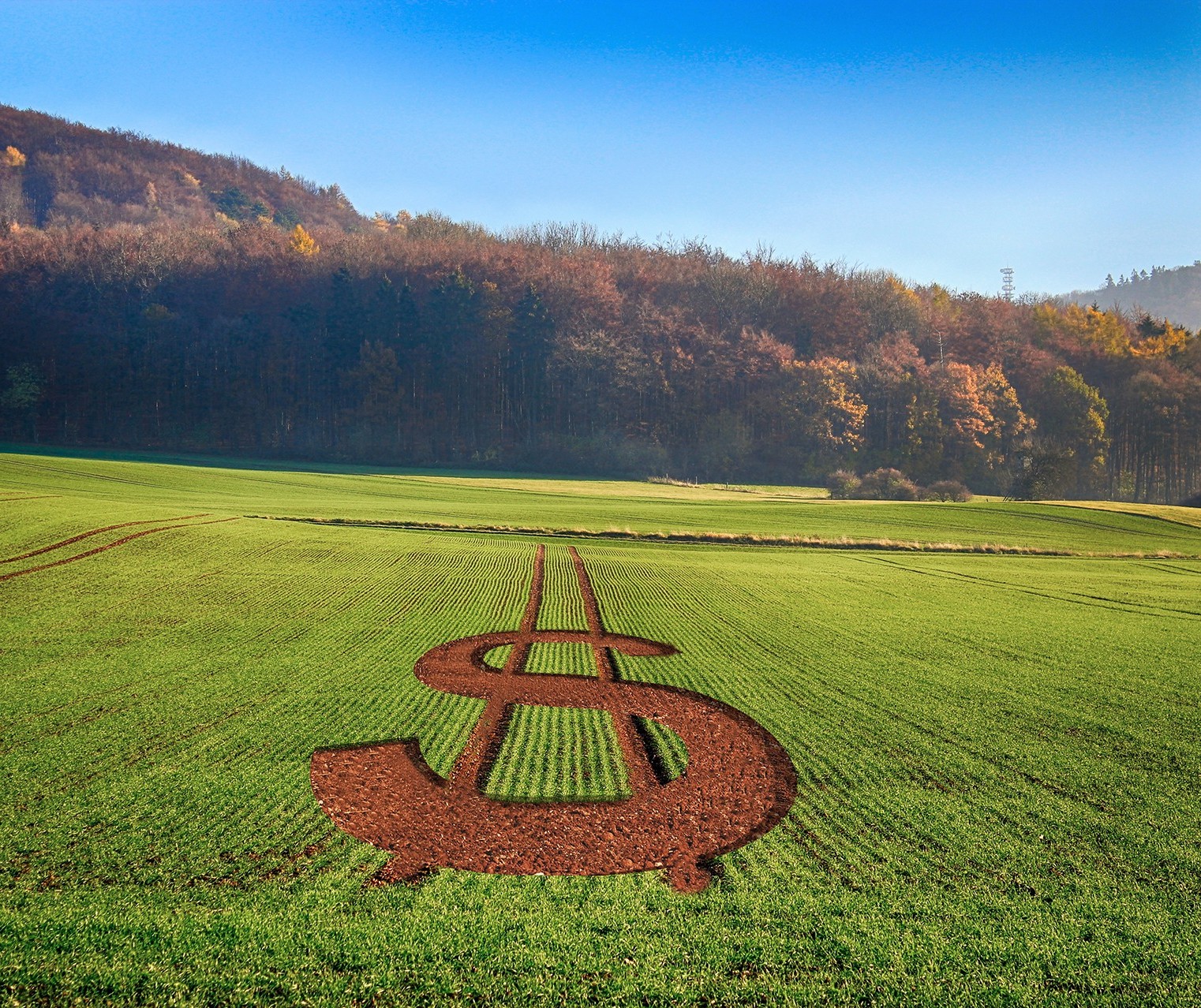 PIB do agronegócio brasileiro cresce 0,53% no primeiro semestre de 2019 