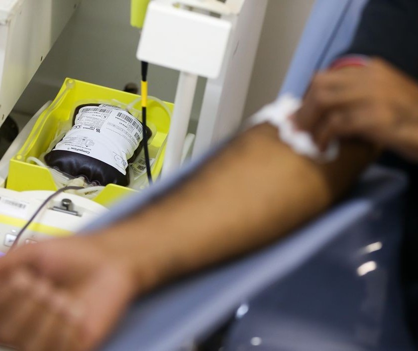 Doação de sangue pode beneficiar até quatro pessoas