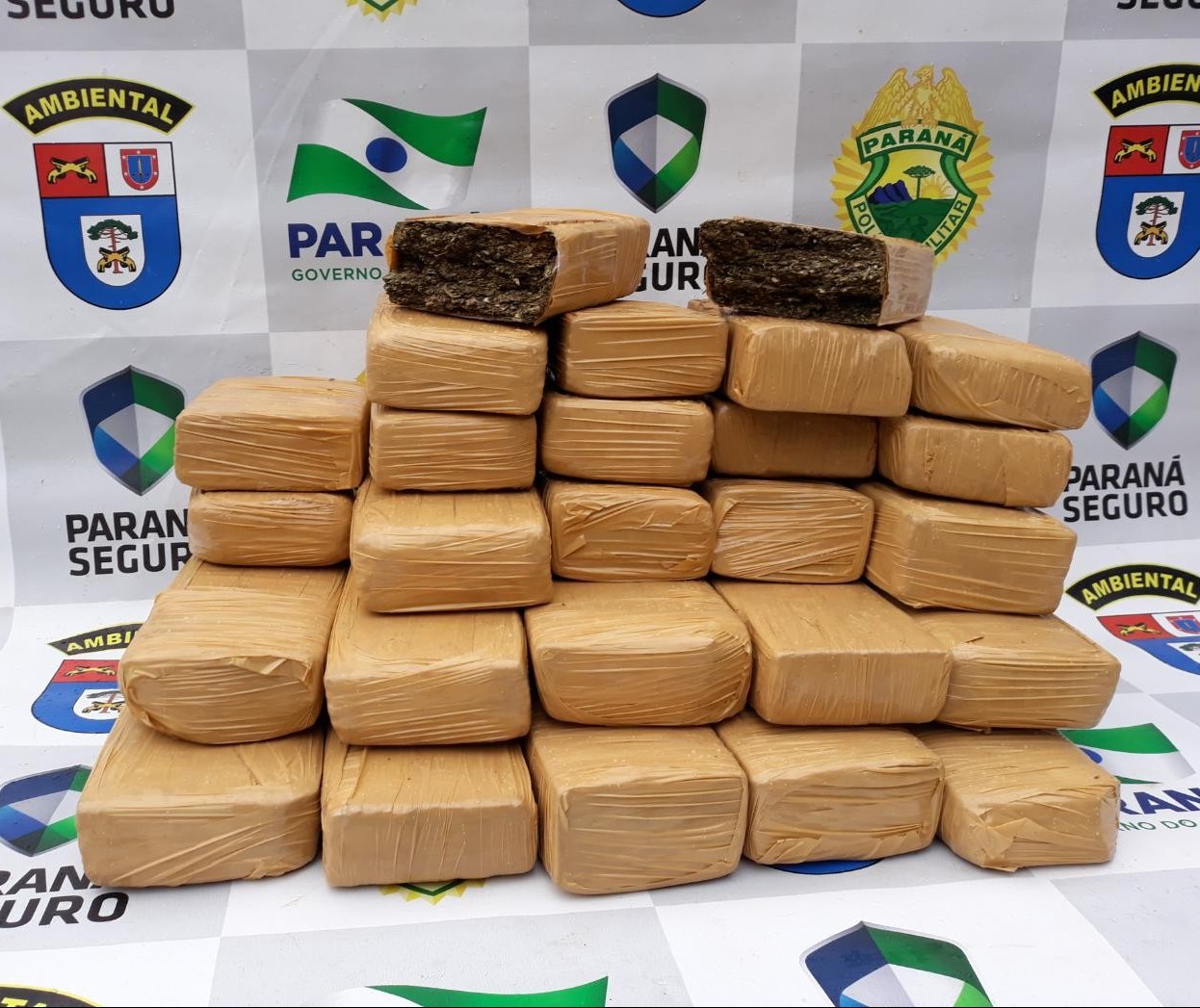 Homem é preso com 14 kg de maconha em ônibus de linha