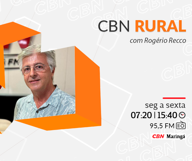 Programa dá incentivo financeiro para agricultores do Paraná que preservam áreas nativas