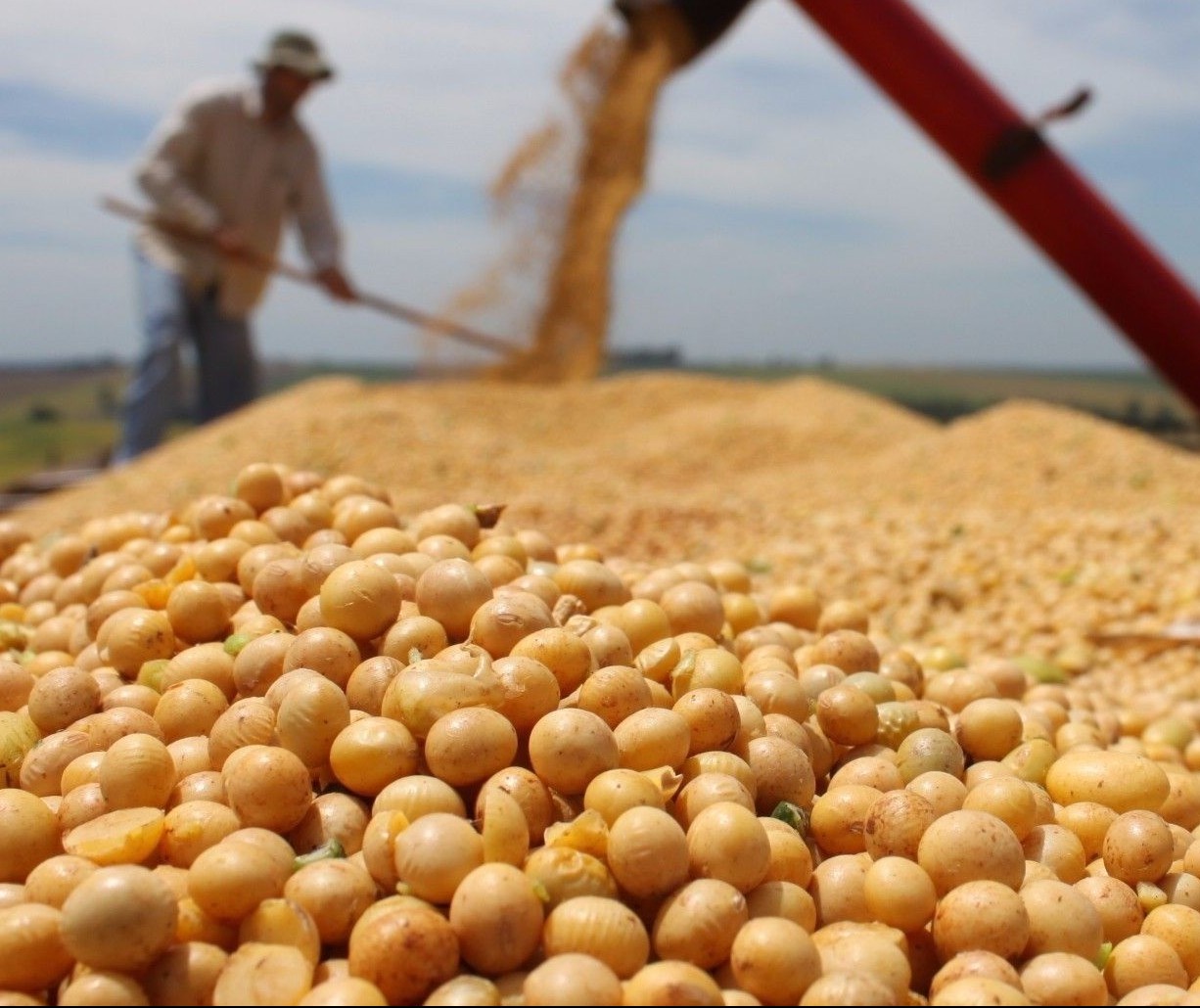 Soja custa R$ 77,50 a saca em Campo Mourão