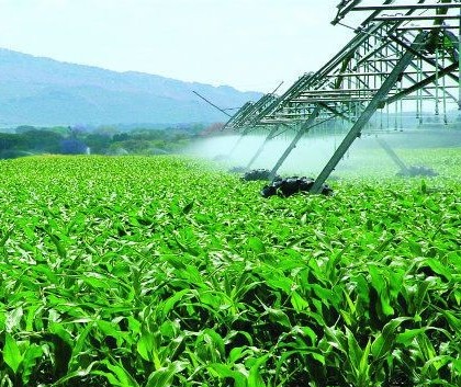 Importações brasileiras de fertilizantes bateram recorde em 2021