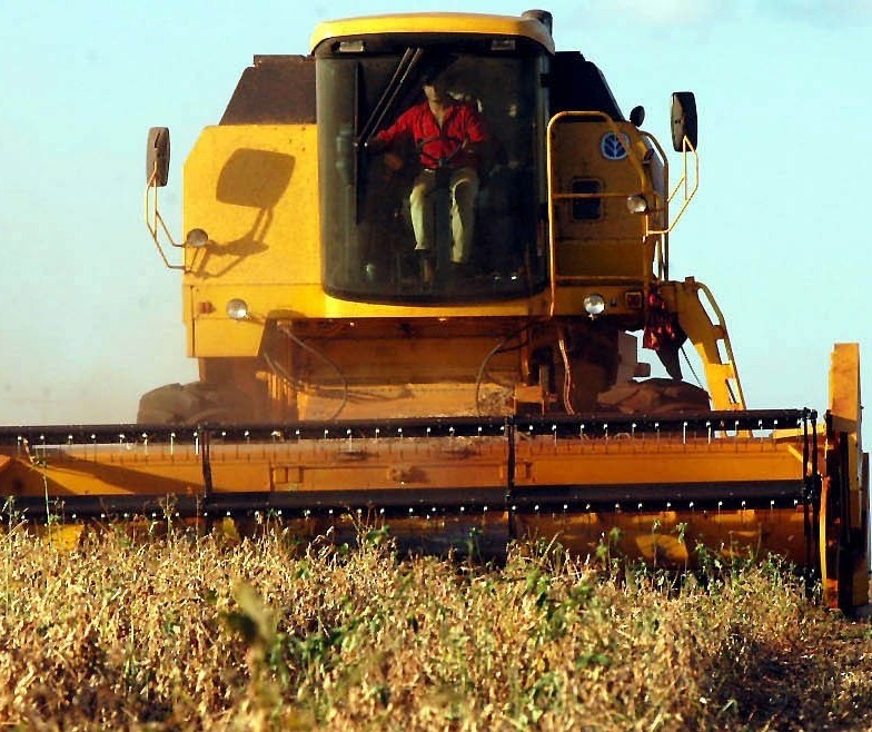 Valor bruto da produção deve crescer 12,4% e bater novo recorde em 2020, diz CNA