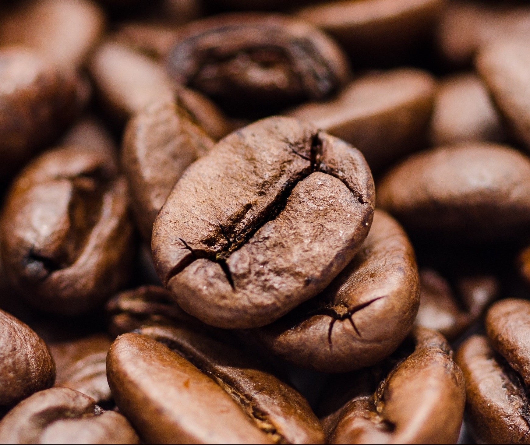 Café em coco custa R$ 6,50 kg em Maringá